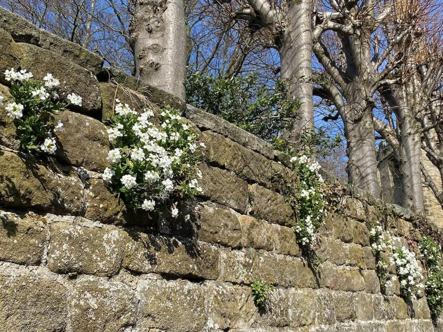 Garden Cottage - Ashover Village Near Matlock Chesterfield Exterior photo